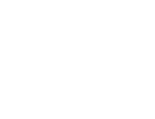 logo white on trans 220